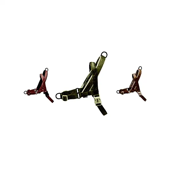 Softer Walk & Ruff Leash