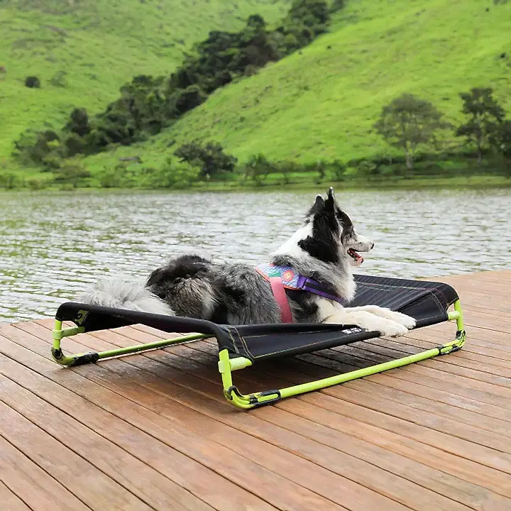 Black Air.Bed | Köpek Yatağı | Zee.Dog