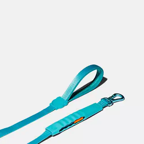Blue Airleash Gezdirme Tasması - Zee.Dog
