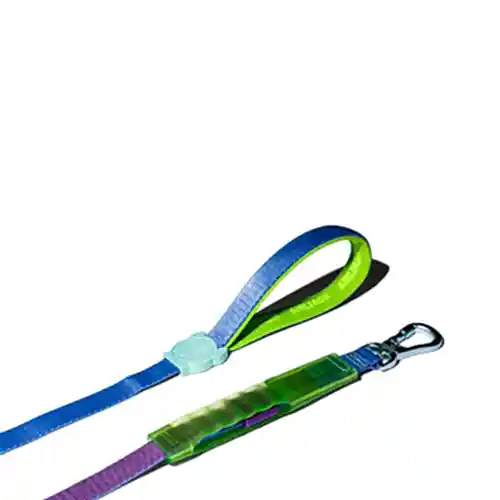 Cali Uno Airleash Gezdirme Tasması - Zee.Dog