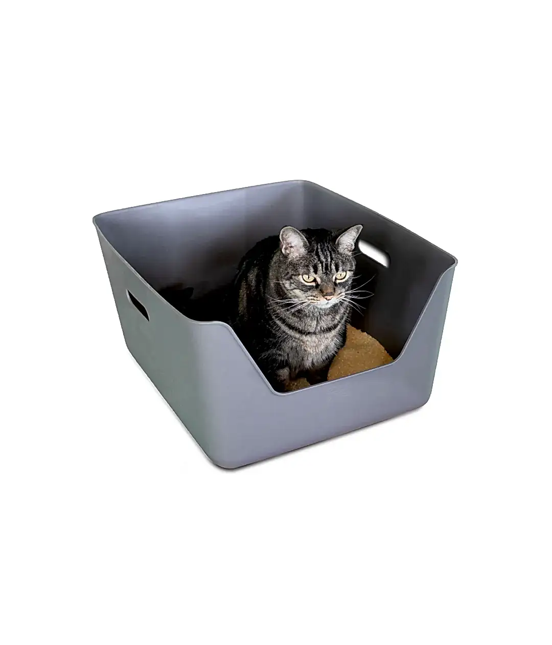 CDSG Hijyenik Kedi Kum Kabı | Cansei de Ser Gato