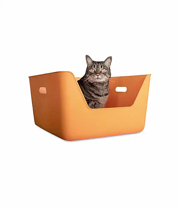 CDSG Hijyenik Kedi Kum Kabı | Cansei de Ser Gato