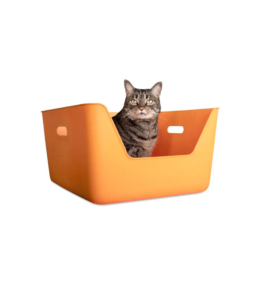 CDSG Hijyenik Kedi Kum Kabı | Cansei de Ser Gato