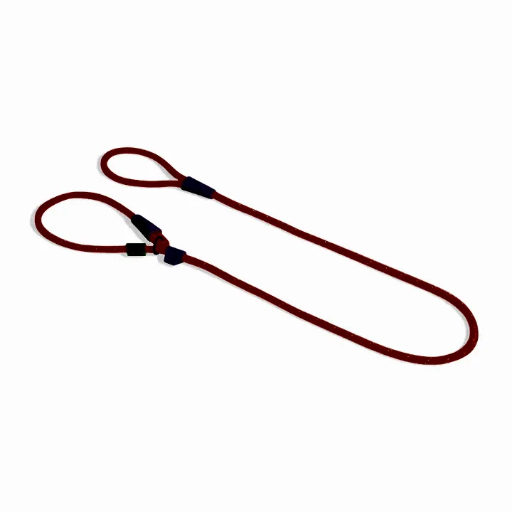 Everest Slip-N-Lock Gezdirme Tasması - Zee.Dog