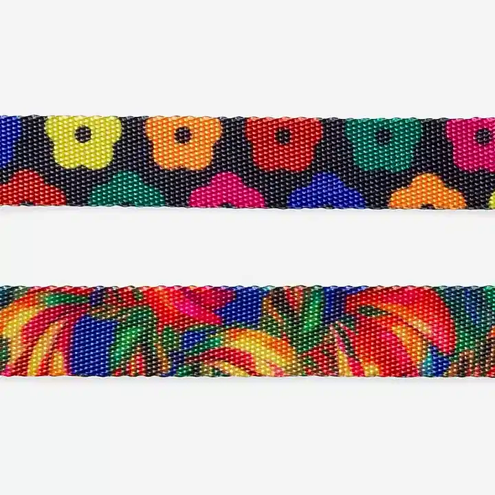 Samba Kedi Tasması - FARM Rio × Zee.Dog