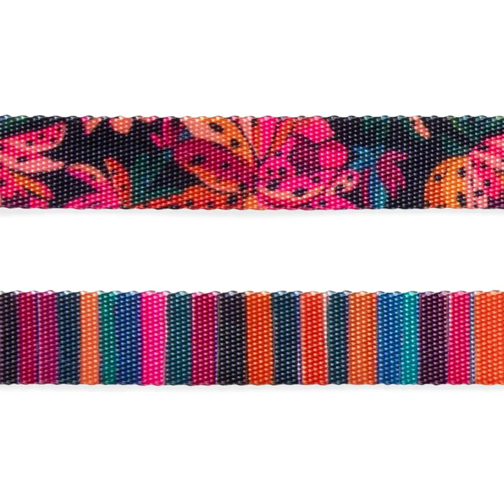 Selva Kedi Tasması - FARM Rio × Zee.Dog