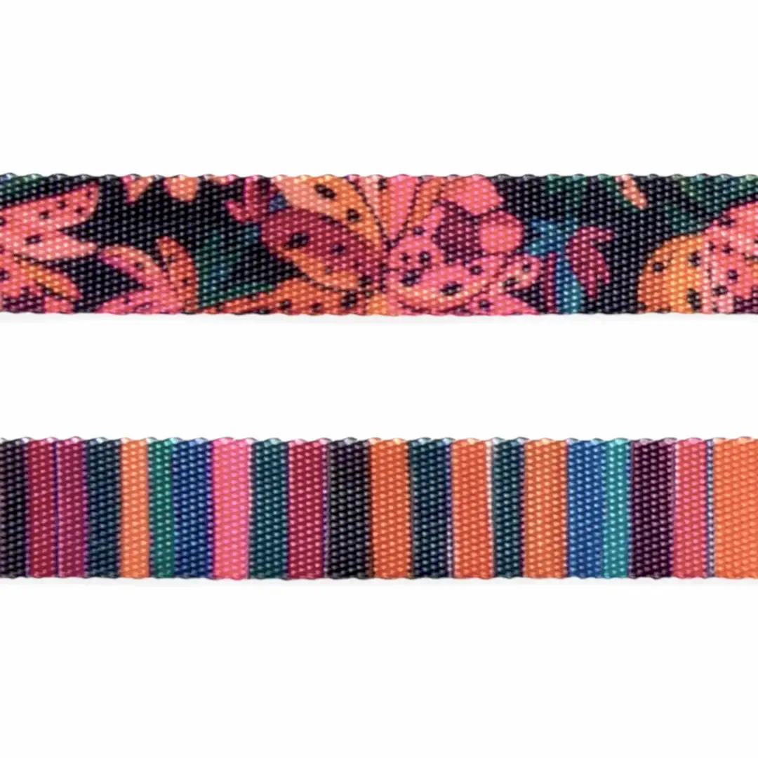 Selva Kedi Tasması - FARM Rio × Zee.Dog