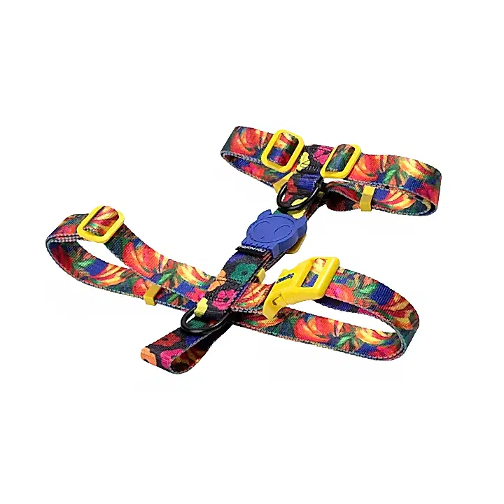 Samba Göğüs Tasması - FARM Rio × Zee.Dog