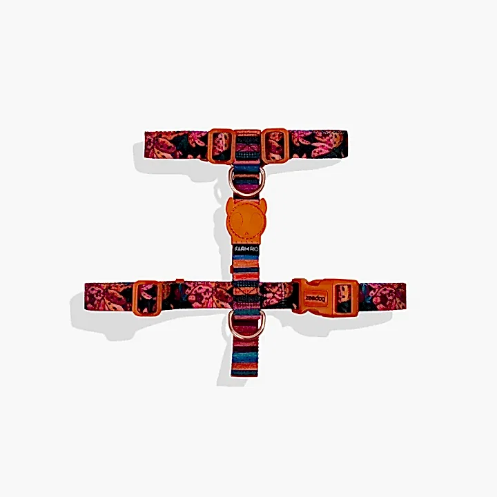 Selva Göğüs Tasması - FARM Rio × Zee.Dog