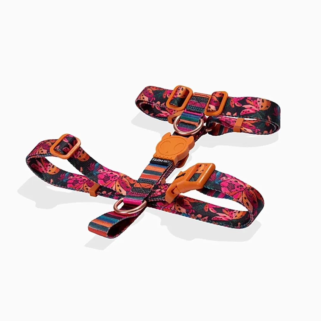 Selva Göğüs Tasması - FARM Rio × Zee.Dog