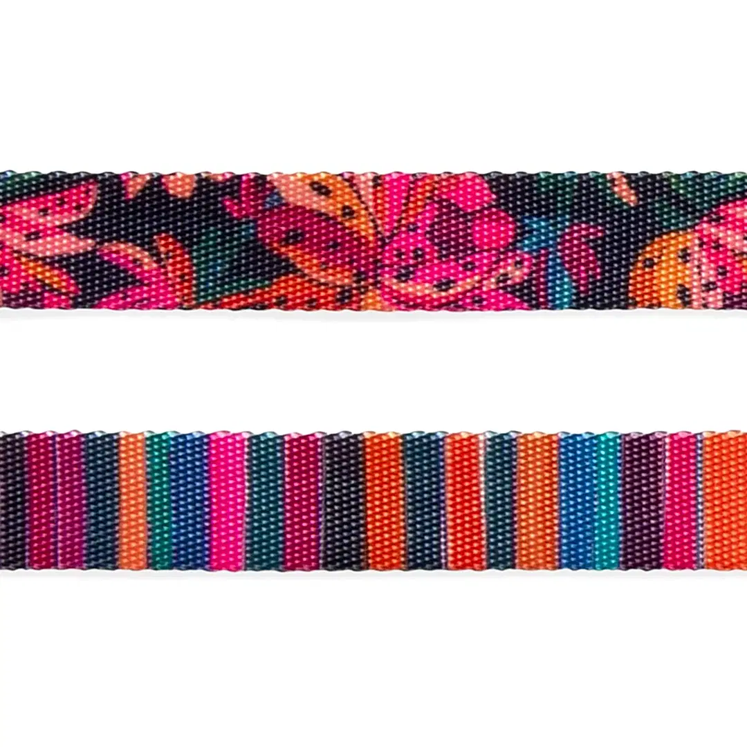 Selva Göğüs Tasması - FARM Rio × Zee.Dog