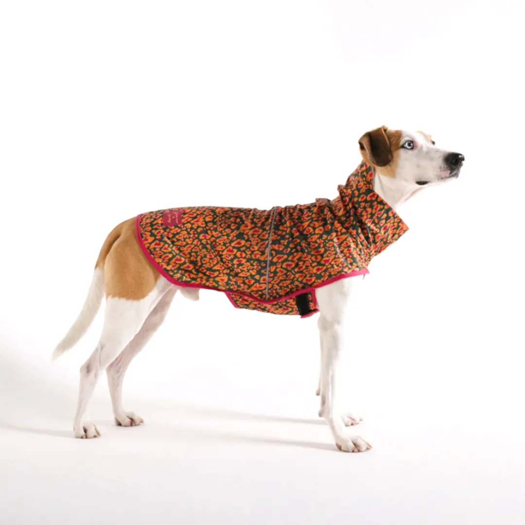 Raincoat Selva - Yağmurluk - FARM Rio × Zee.Dog