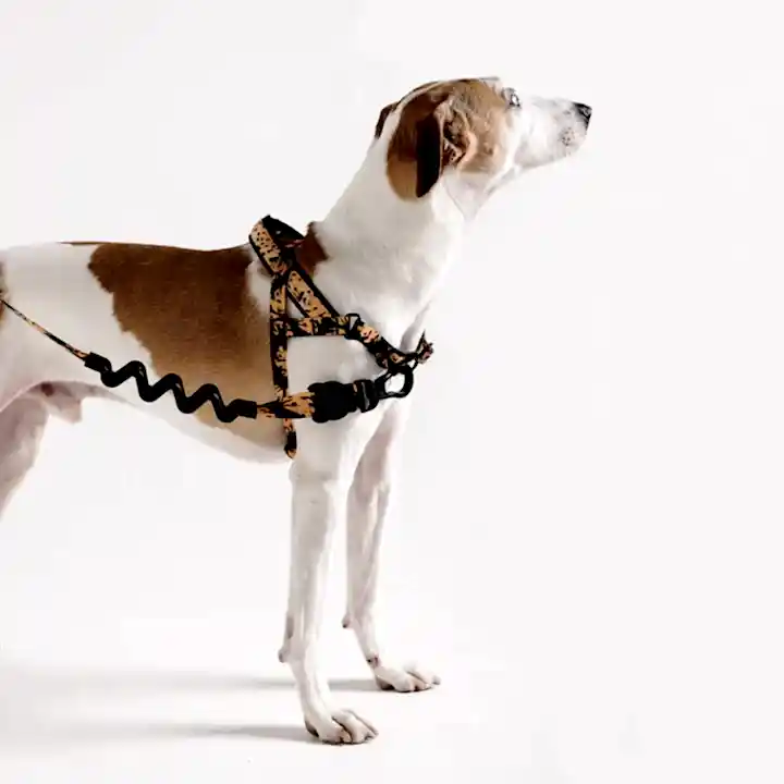 Bossa Banana Softer Walk Göğüs Tasması - FARM Rio × Zee.Dog