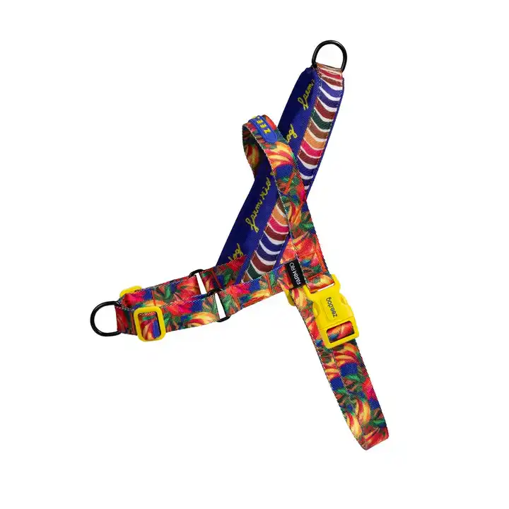 Samba Softer Walk Göğüs Tasması - FARM Rio × Zee.Dog