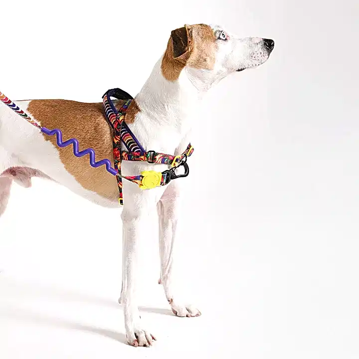 Samba Softer Walk Göğüs Tasması - FARM Rio × Zee.Dog