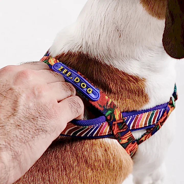 Samba Softer Walk Göğüs Tasması - FARM Rio × Zee.Dog