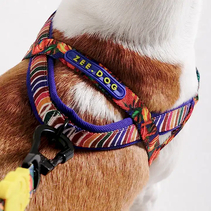 Samba Softer Walk Göğüs Tasması - FARM Rio × Zee.Dog