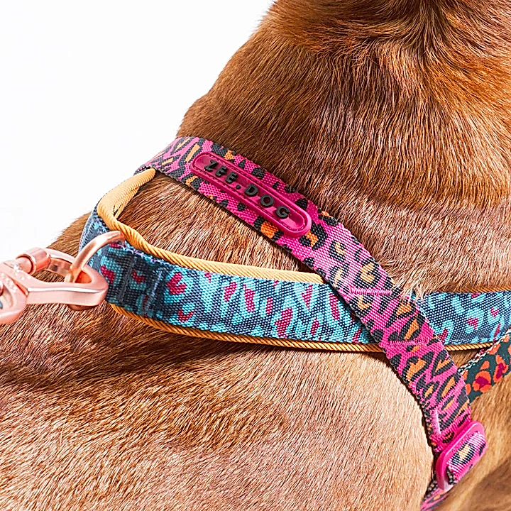 Selva Softer Walk Göğüs Tasması - FARM Rio × Zee.Dog