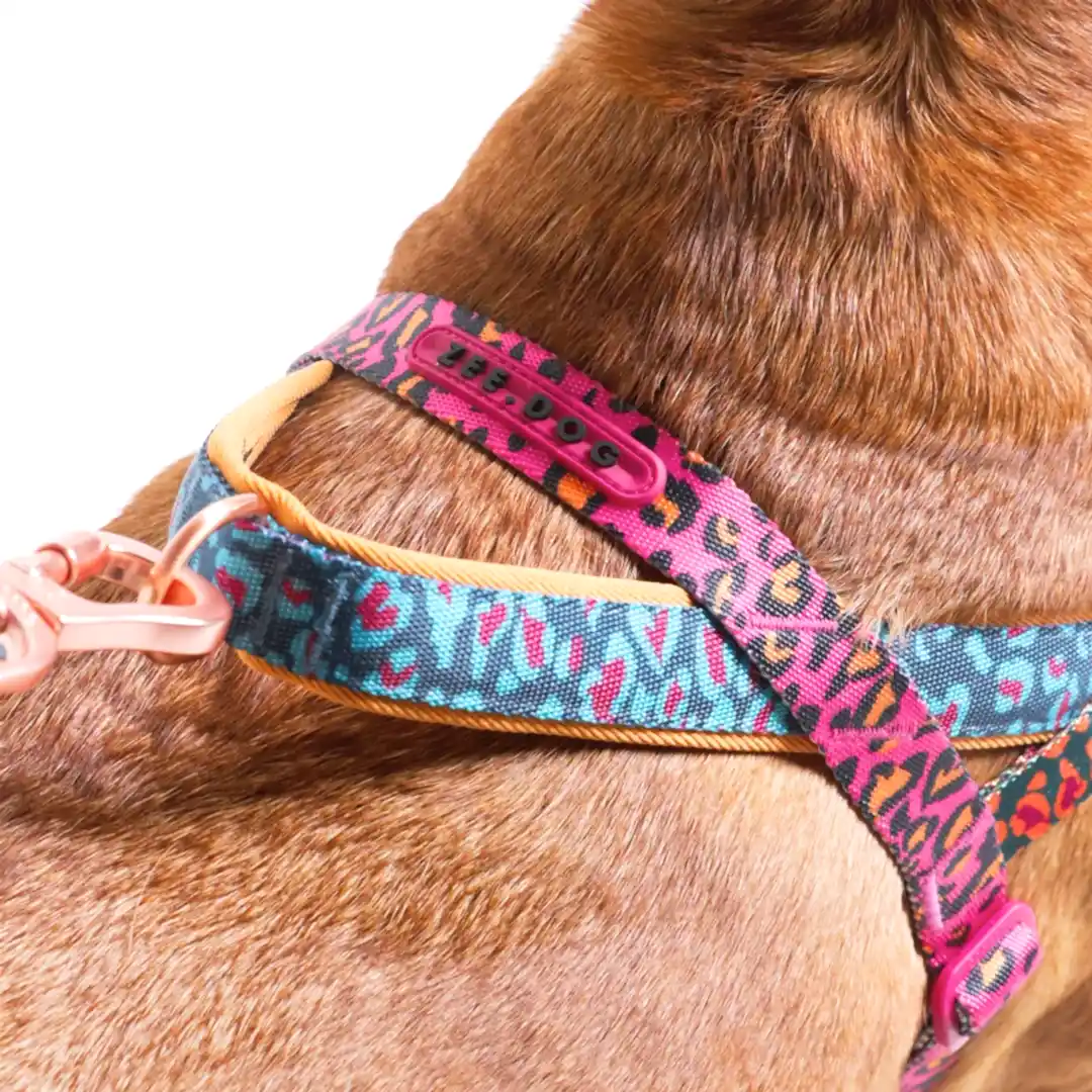 Selva Softer Walk Göğüs Tasması - FARM Rio × Zee.Dog