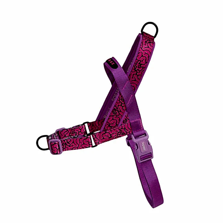 Lords Of Zee.Town Brain Softer Walk Göğüs Tasması - Zee.Dog