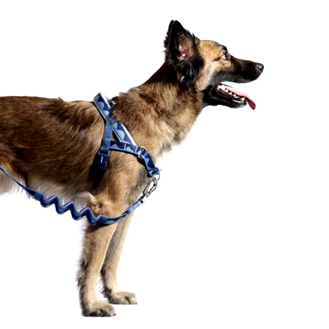 Swell Softerwalk Göğüs Tasması - Zee.Dog