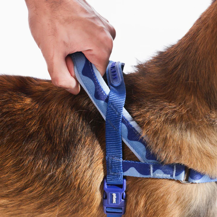 Swell Softerwalk Göğüs Tasması - Zee.Dog