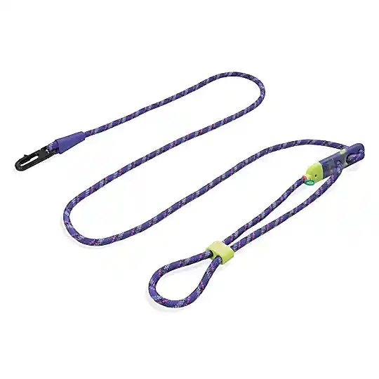 Tokyo Handsfree Halat Gezdirme Tasması - Zee.Dog