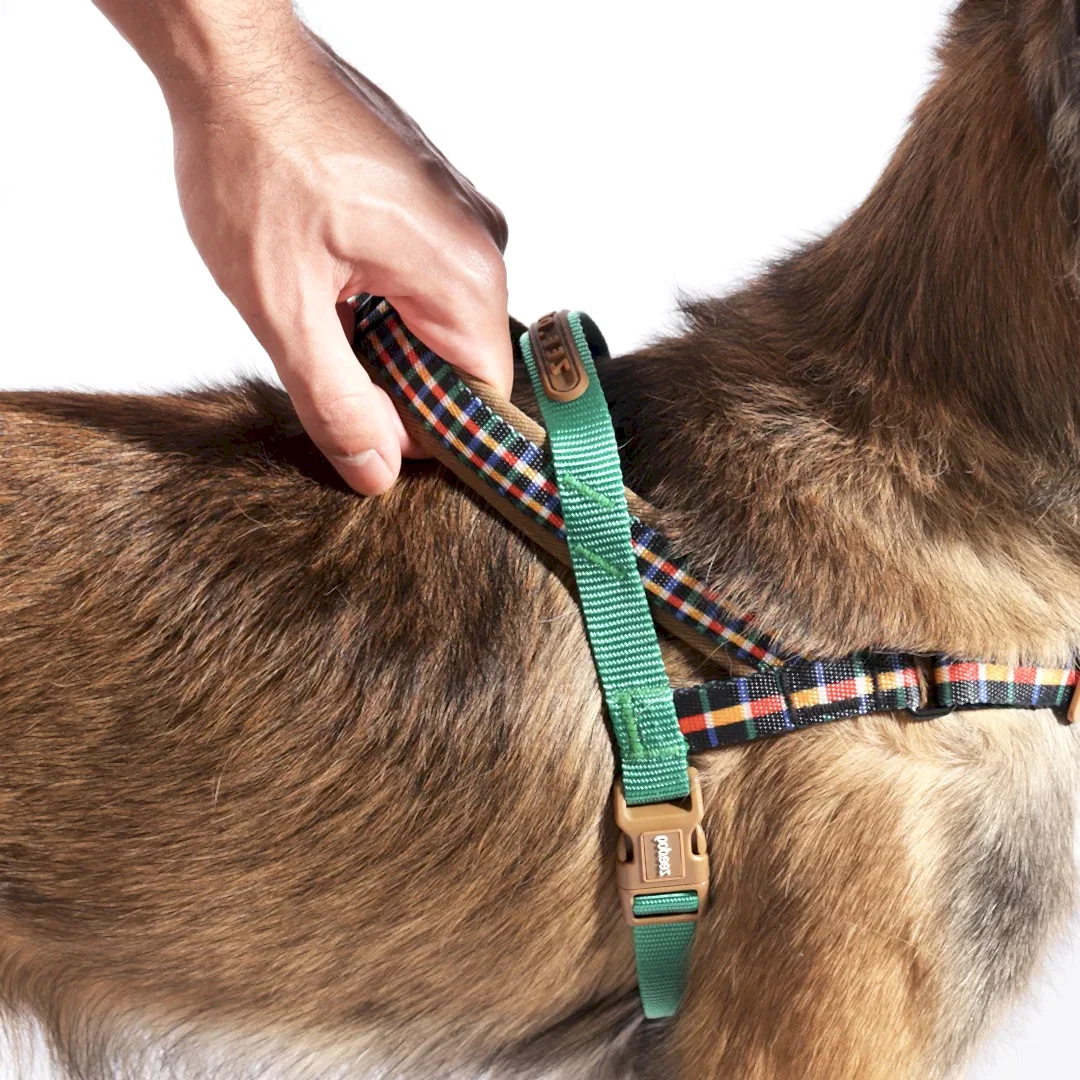 Travis Softerwalk Göğüs Tasması - Zee.Dog