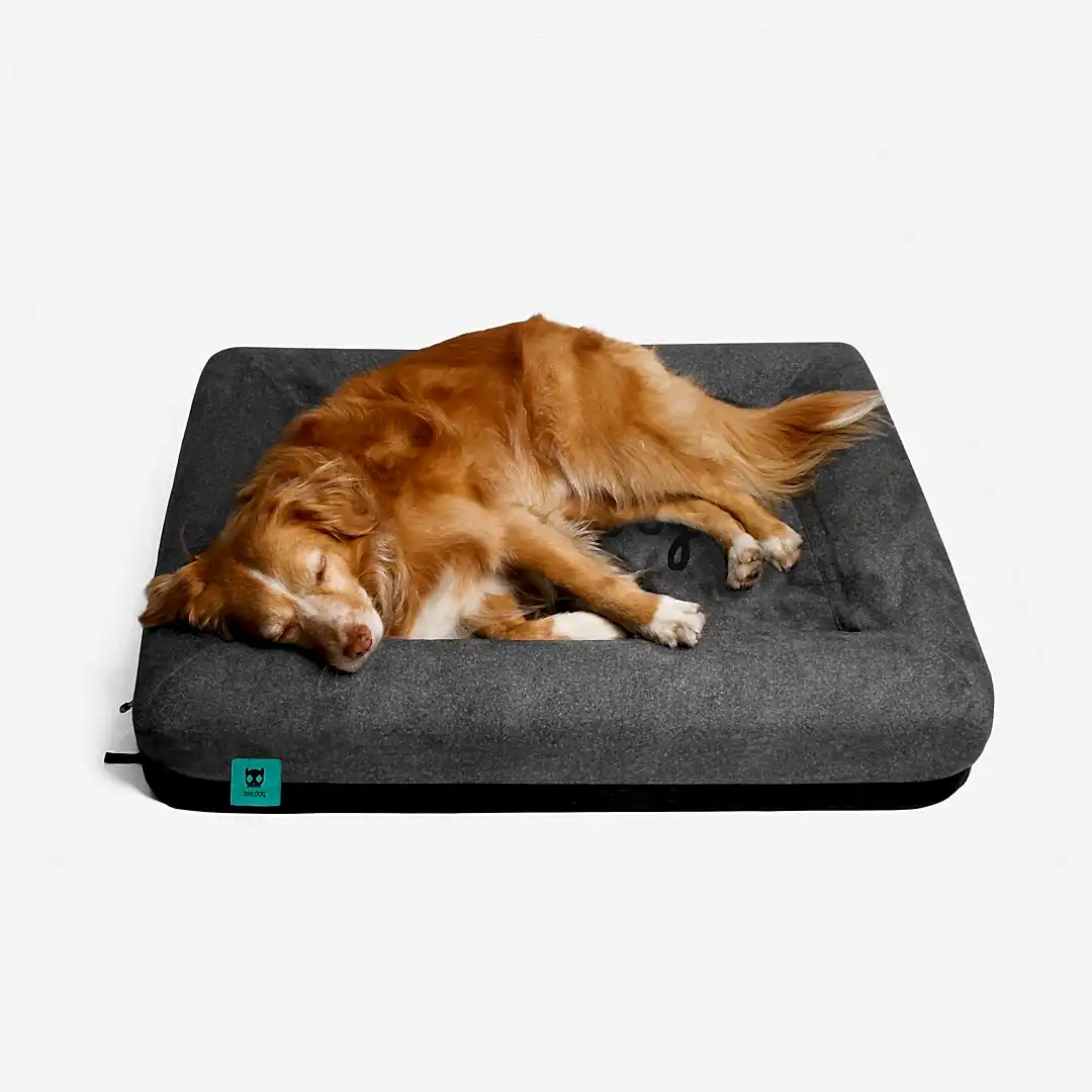 Zee.Bed - Köpek Yatağı - Zee.Dog