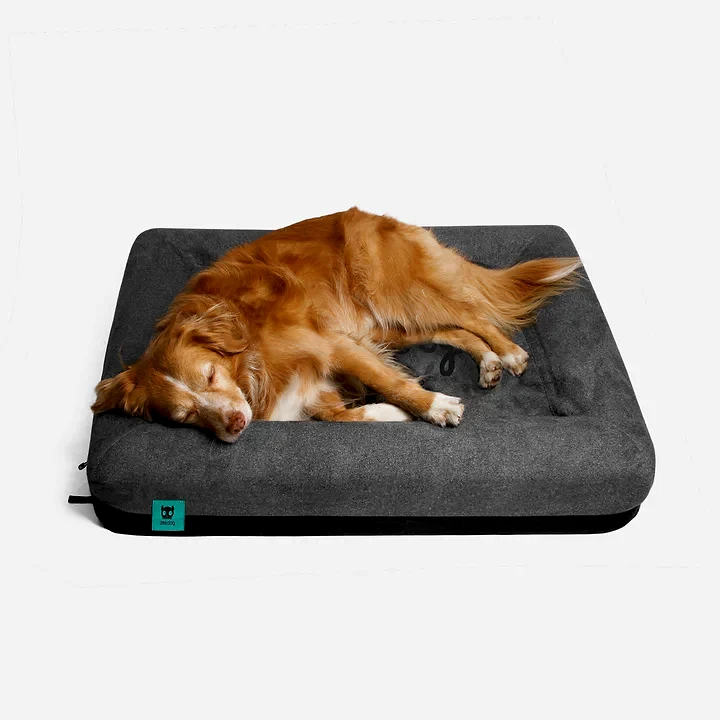 Zee.Bed - Köpek Yatağı - Zee.Dog