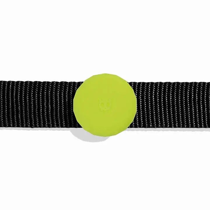 Zee.Dog AIRTAG Kılıfı