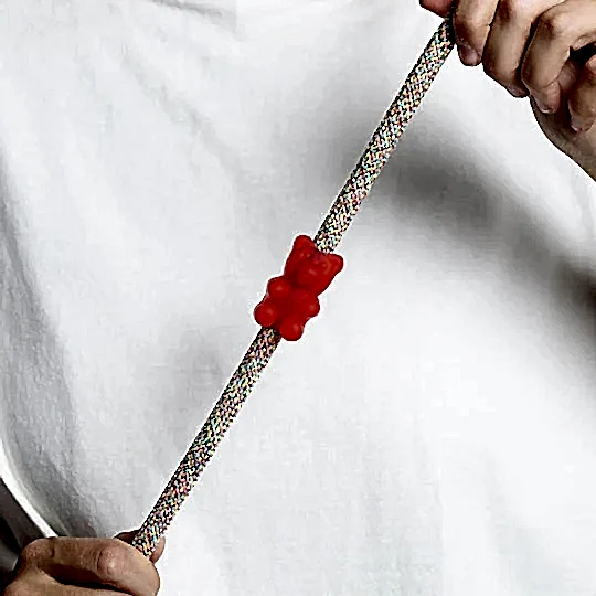 Zee.Pinz Gummy Bear - Zee.Dog