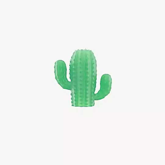 Zee.Pinz Cactus - Zee.Dog