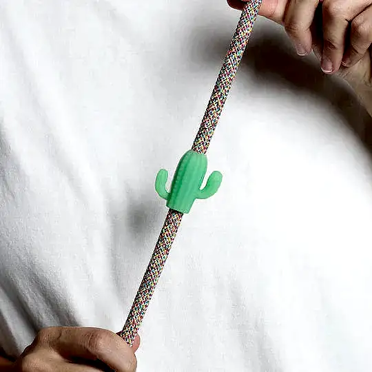 Zee.Pinz Cactus - Zee.Dog