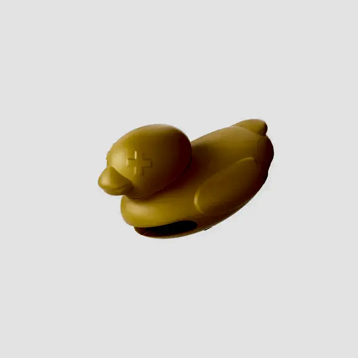 Zee. Pinz  Duck - Zee Dog