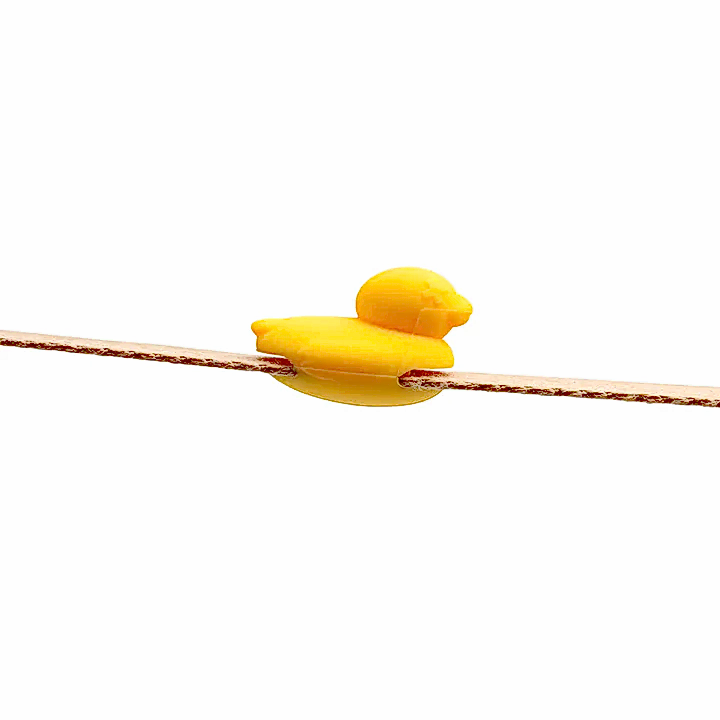 Zee. Pinz  Duck - Zee Dog